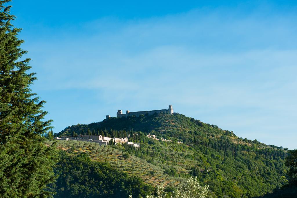 Antica Fonte Pension Assisi Buitenkant foto